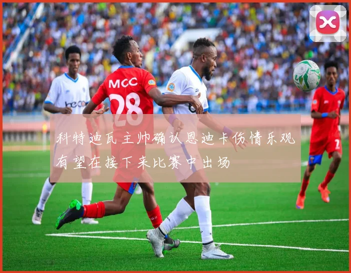 科特迪瓦主帅确认恩迪卡伤情乐观有望在接下来比赛中出场