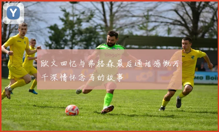 欧文回忆与弗格森最后通话感慨万千深情怀念马的故事
